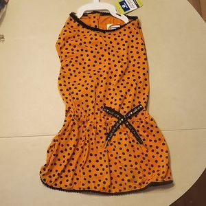 Orange polka dog dog dress